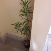 IMG-20171003-WA0033