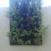 IMG-20171003-WA0053