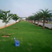 IMG-20171003-WA0069