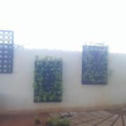 IMG-20171003-WA0072