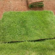 IMG-20171003-WA0074