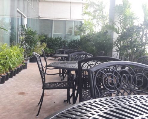 WhatsApp Image 2017-12-09 at 3.58.46 PM Terrace Garden Contractor in Chennai